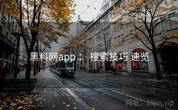 黑料网app ： 搜索技巧 速览