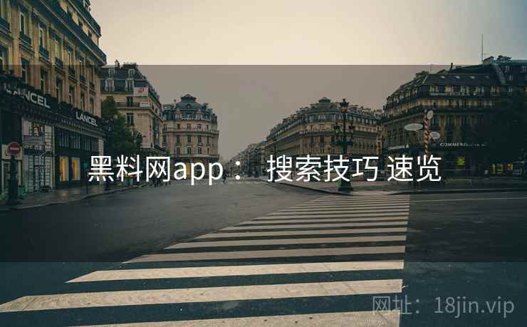 黑料网app ： 搜索技巧 速览
