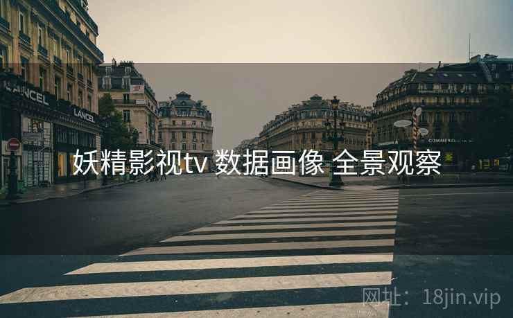妖精影视tv 数据画像 全景观察