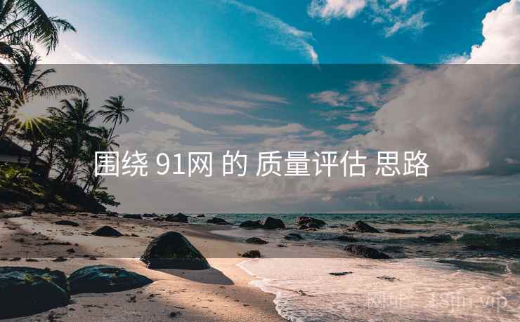 围绕 91网 的 质量评估 思路