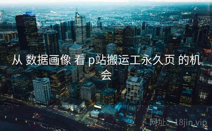 从 数据画像 看 p站搬运工永久页 的机会