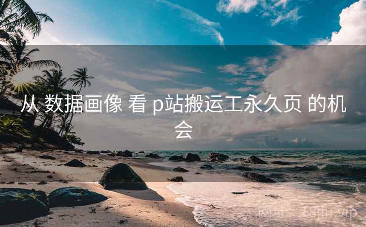 从 数据画像 看 p站搬运工永久页 的机会