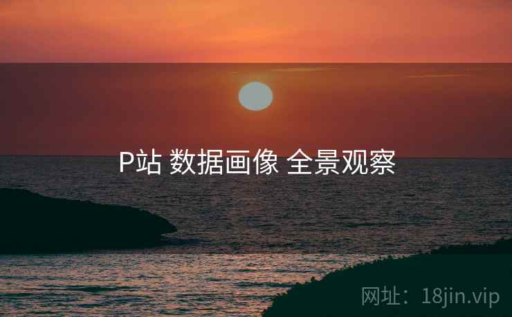 P站 数据画像 全景观察