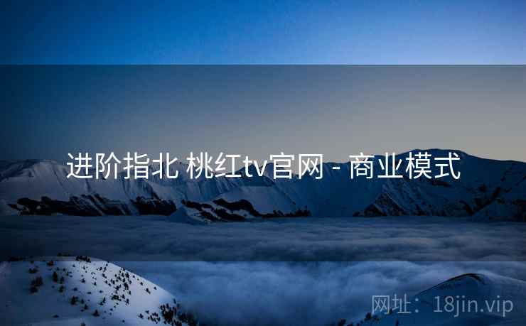 进阶指北 桃红tv官网 - 商业模式 进阶指北 桃红tv官网 - 商业模式