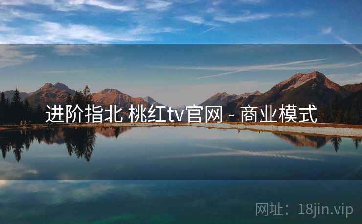进阶指北 桃红tv官网 - 商业模式 进阶指北 桃红tv官网 - 商业模式