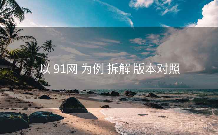 以 91网 为例 拆解 版本对照