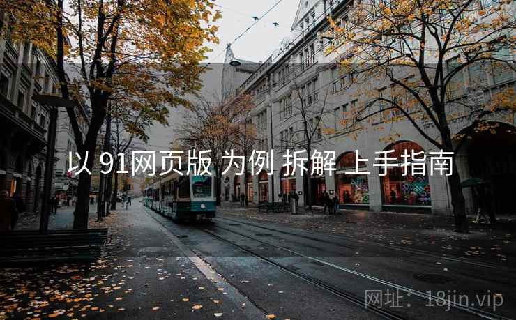 以 91网页版 为例 拆解 上手指南